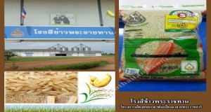 โรงสีข้าวพระราชทาน_farmthailand.com