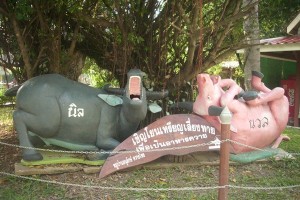 หมู่บ้านอนุรักษ์ควายไทย
