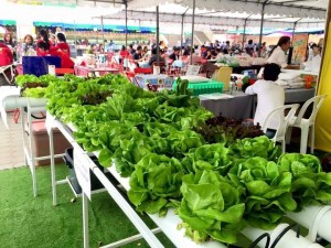 นวัตกรรมเกษตรไทย ยิ่งใหญ่ด้วยศาสตร์พระราชา”