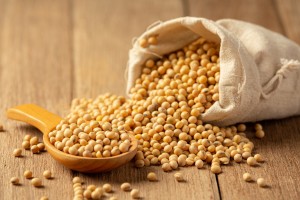 soybean-sauce-soybean-wooden-floor-soy-sauce-food-nutrition-concept_1150-26321